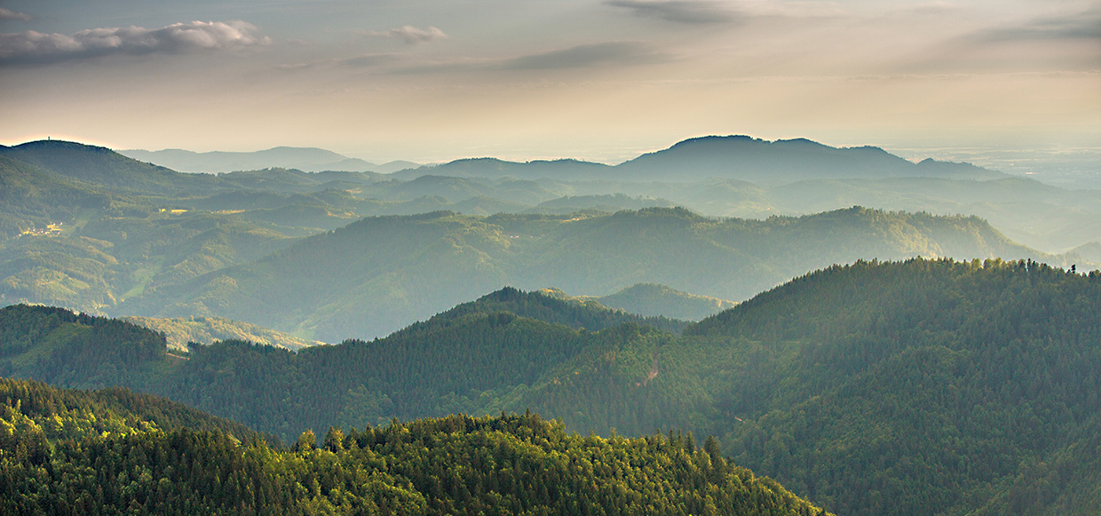 Nationalpark Schwarzwald